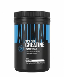 Universal Animal Creatine Monohydrate 500 gr